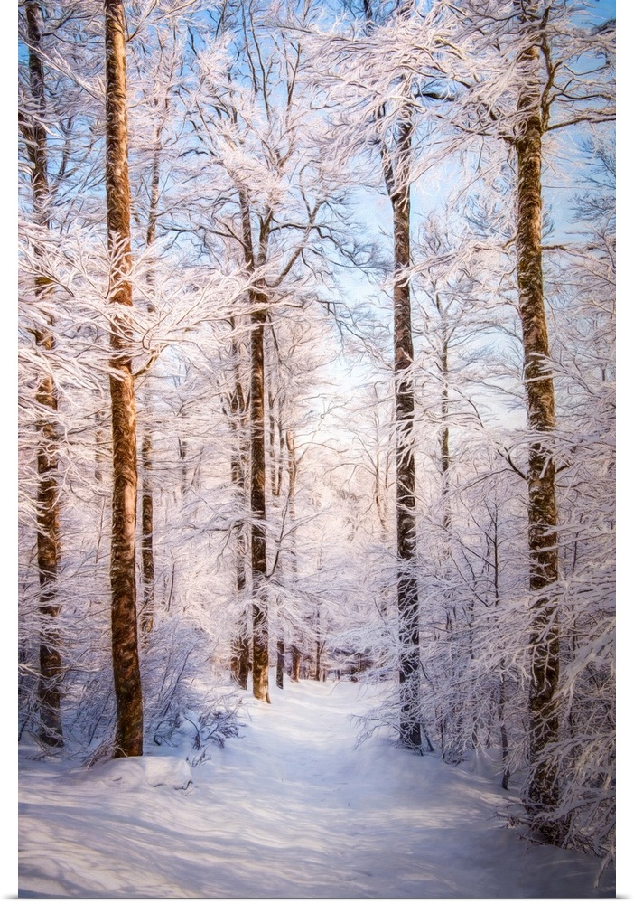 Photo Expressionism - Path in a snowy forest.
