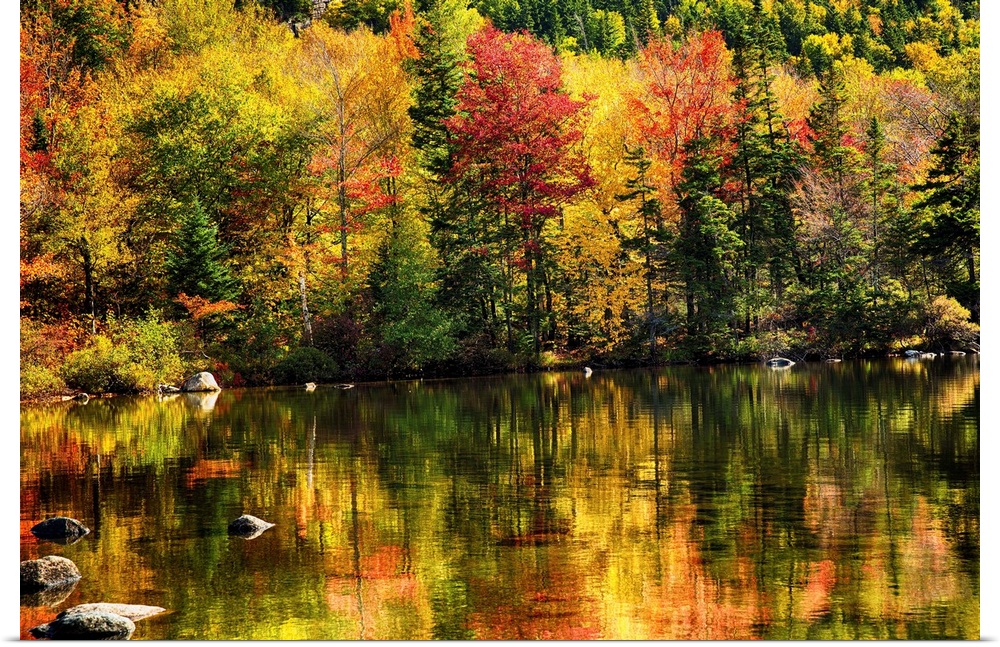Fine art photo of bright colors of a forest in autumn being reflected in a pond.
