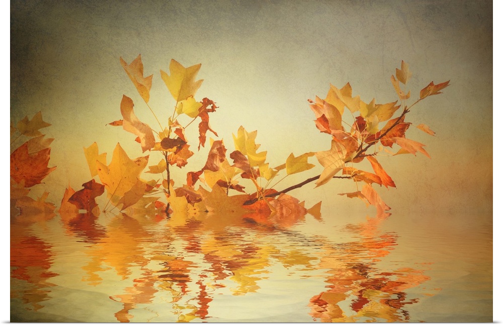 A branch with orange leaves submerged in a puddle, reflected in the water.