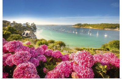 Saint Pabu In Brittany, Flowers And Summertime