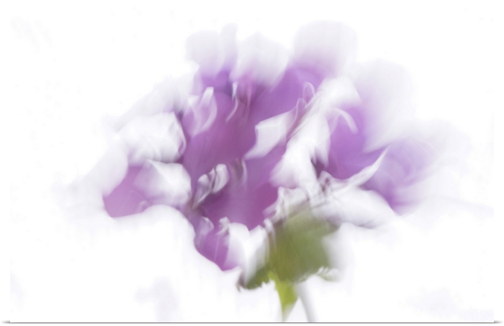 Artistically blurred photo. Brushstrokes of light with the scent of a flower.