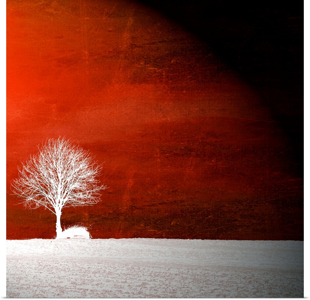 This square wall art is the silhouette of a tree in a field superimposed on an abstract textured background.