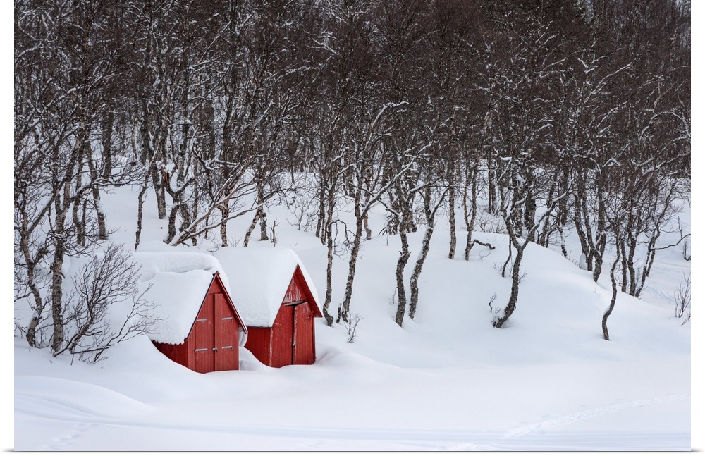 A photograph of two red houses under a thick blanket of snow.
