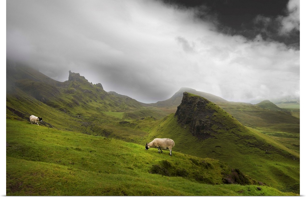Fine art photo of a misty valley full of large rocky outcroppings with two grazing sheep.