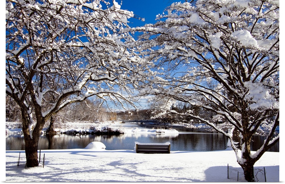 Snow Covered Trees, Winter Scenic, South Branch of Raritan River, Clinton, New Jersey