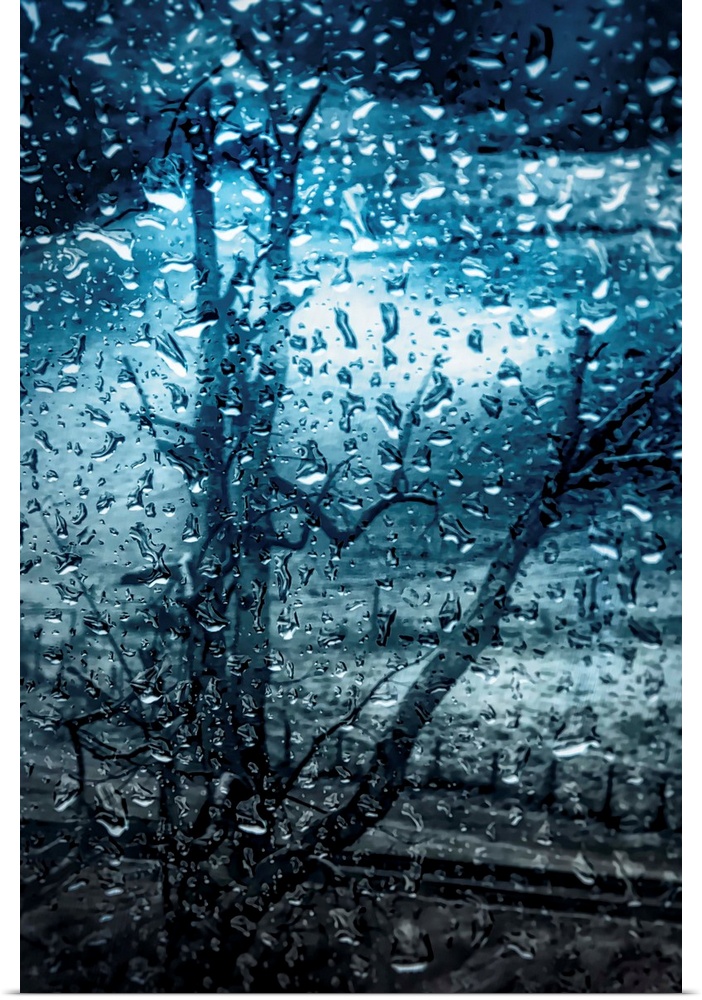 Cool toned photograph of large rain droplets with a bare tree in the background.