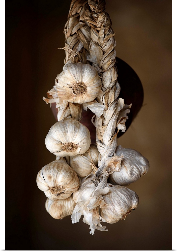 A photograph of hanging garlic cloves.