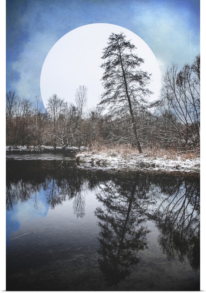 Landscape along a lake with the reflection of a fir tree and a big moon