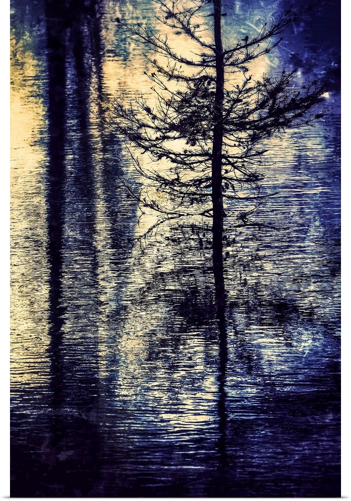 Dreamy photograph of a skinny tree reflecting into rippled water.