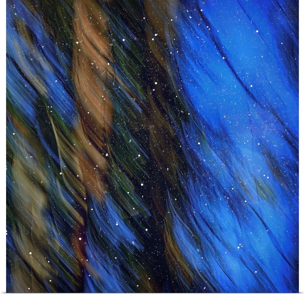 Abstract image of pine trees on a bright blue sky with wispy lines from motion blur and white stardust on top.