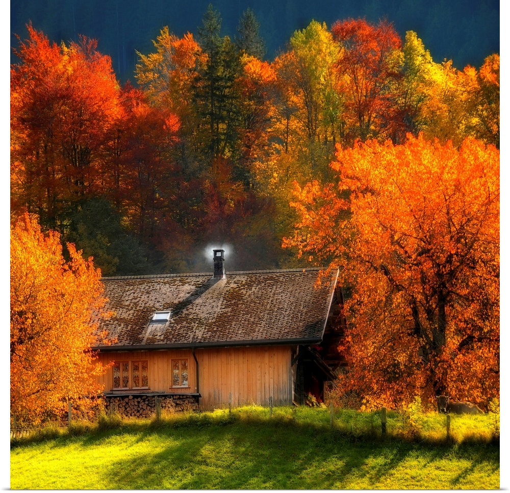 Big artwork of a cabin with a smoking chimney in the woods in autumn as the leaves turn to their fall colors.