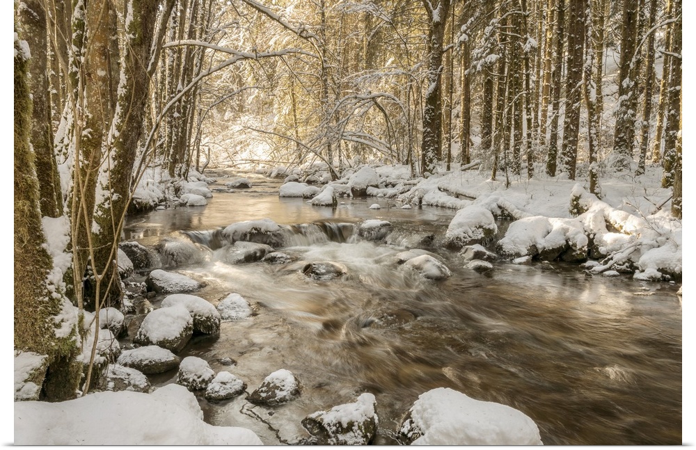 Photograph of a rushing river in the middle of snow covered woods at golden hour.