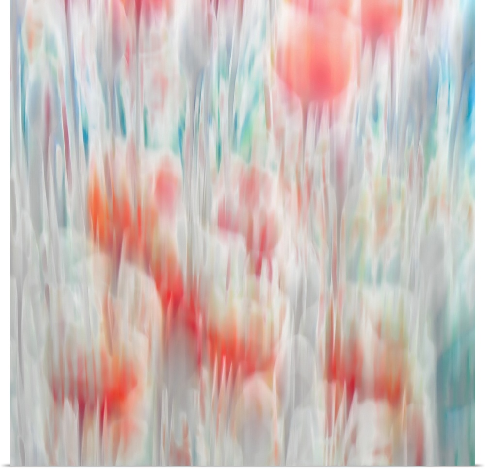 A field of red poppies with light foliage all around. The image was made using the ICM (Intentional Camera Movement) techn...