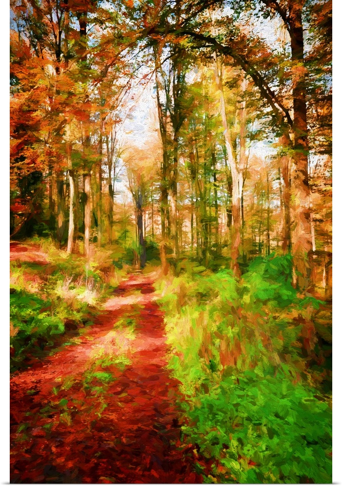 A photograph of a forest with turning autumn foliage.