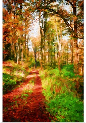 Take A Path In Autumn