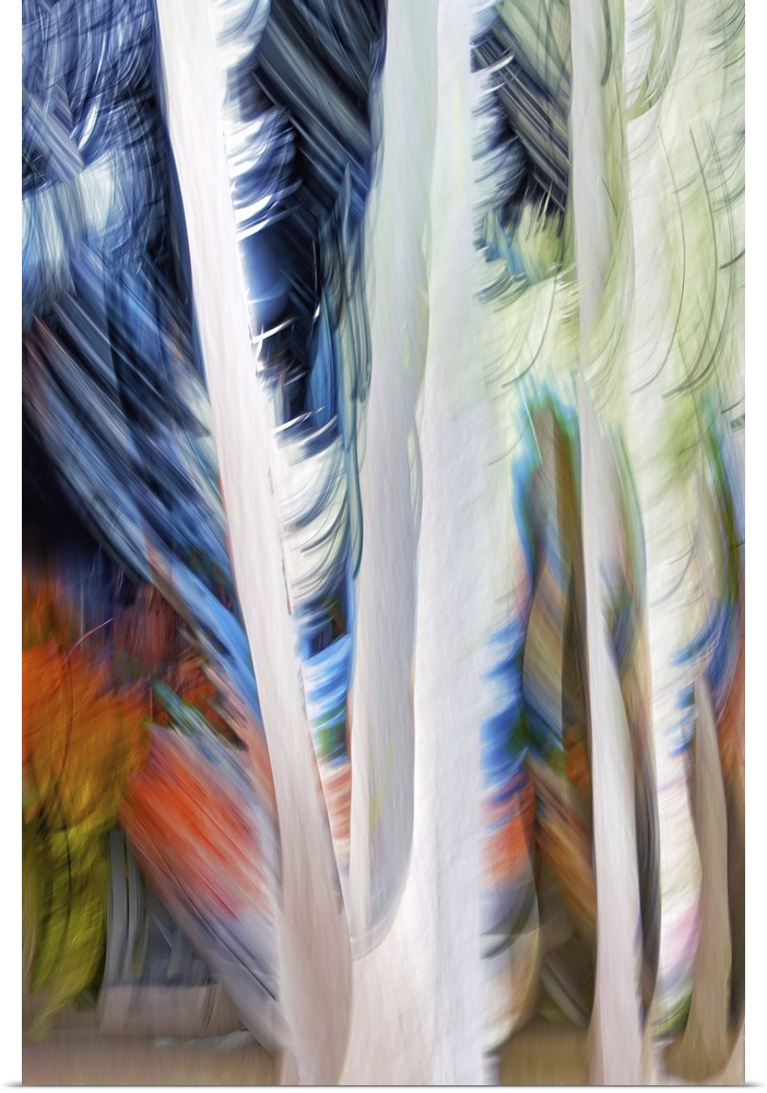 An ICM (Intentional Camera Movement) image of a group of tall cedars in a small town in British Columbia, Canada. The tree...