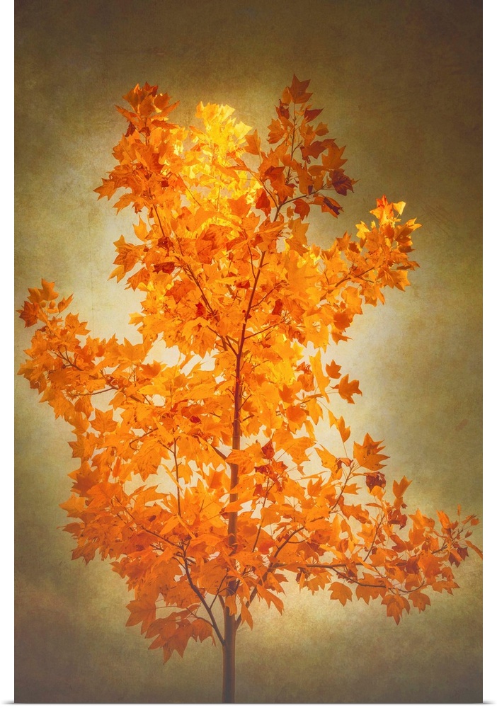 A yellow tree in autumn with a photo texture
