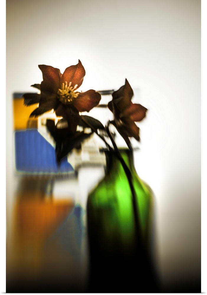 Distorted photograph of Christmas roses in a green glass jar.