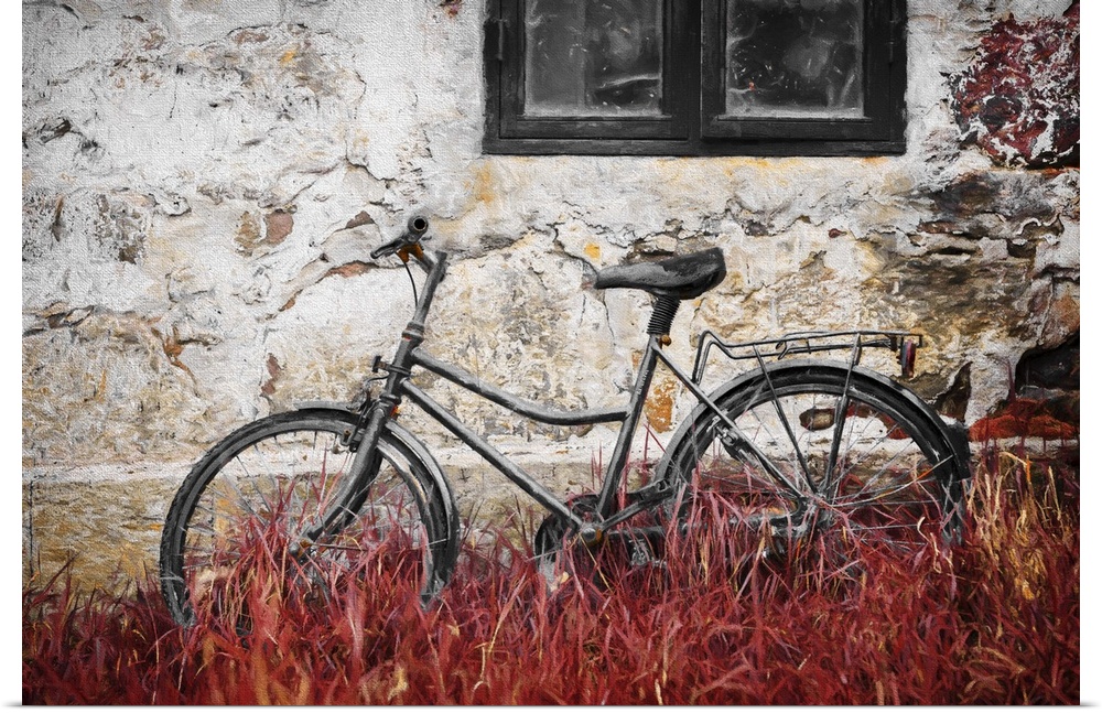 An old bicycle in red grass against a stone wall.