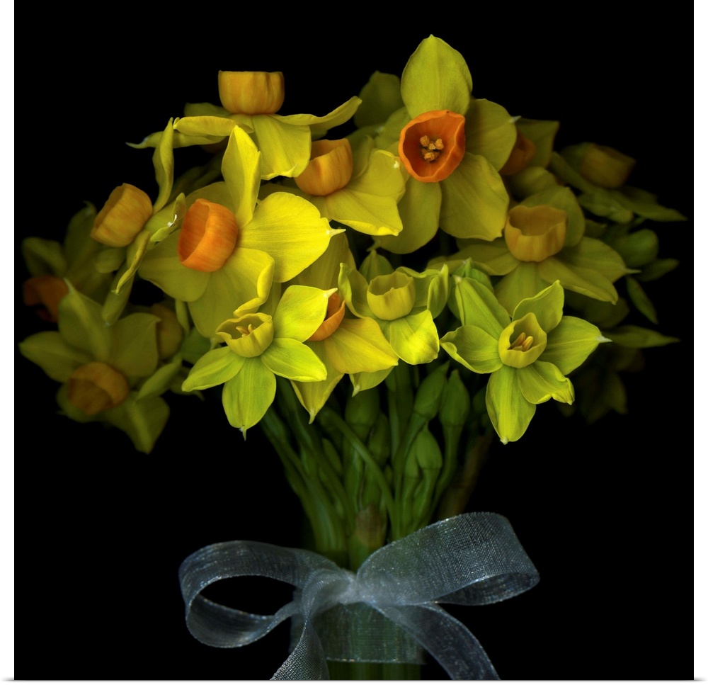Yellow mini-daffodils bound with a ribbon.