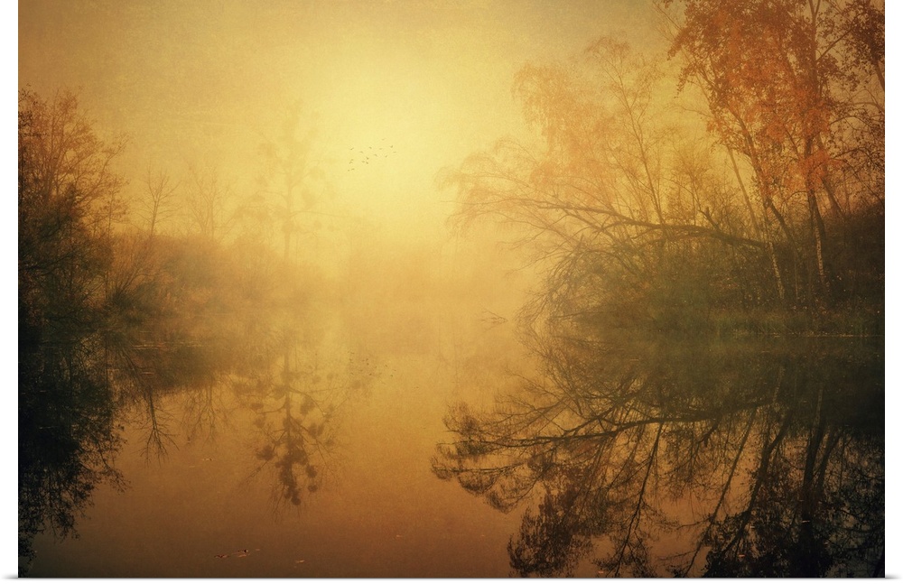 A landscape covered in a serene yellow mist