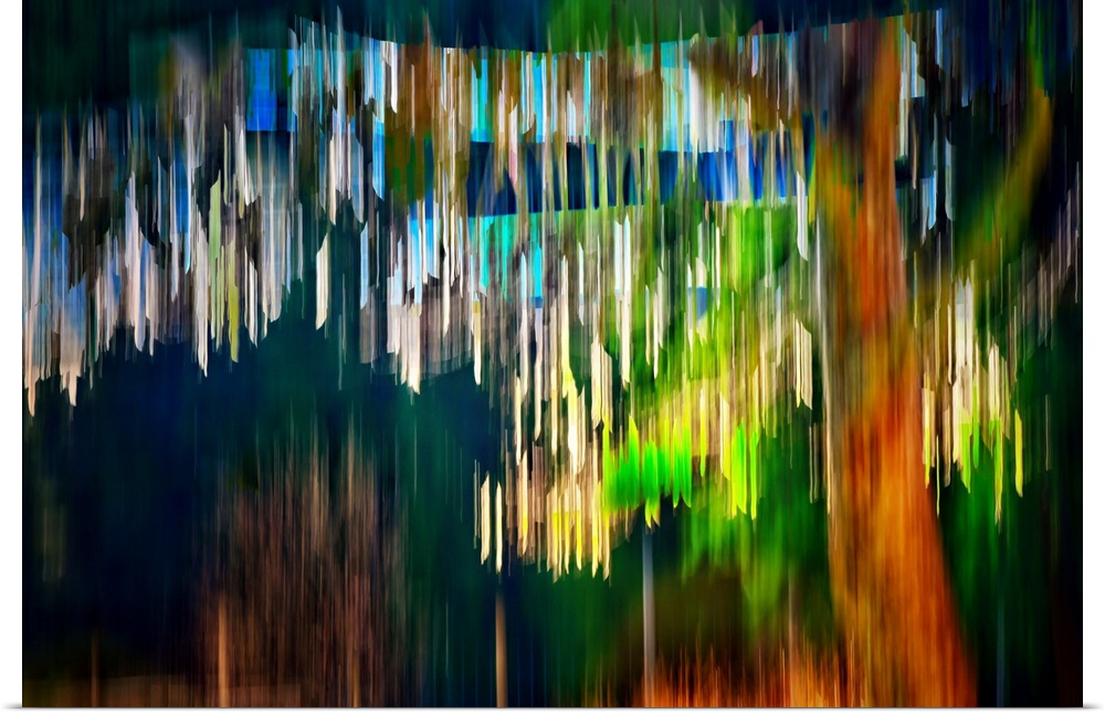 Simple ICM (Intentional Camera Movement) image of a large tree with other trees and sky behind it. The purpose of using ve...