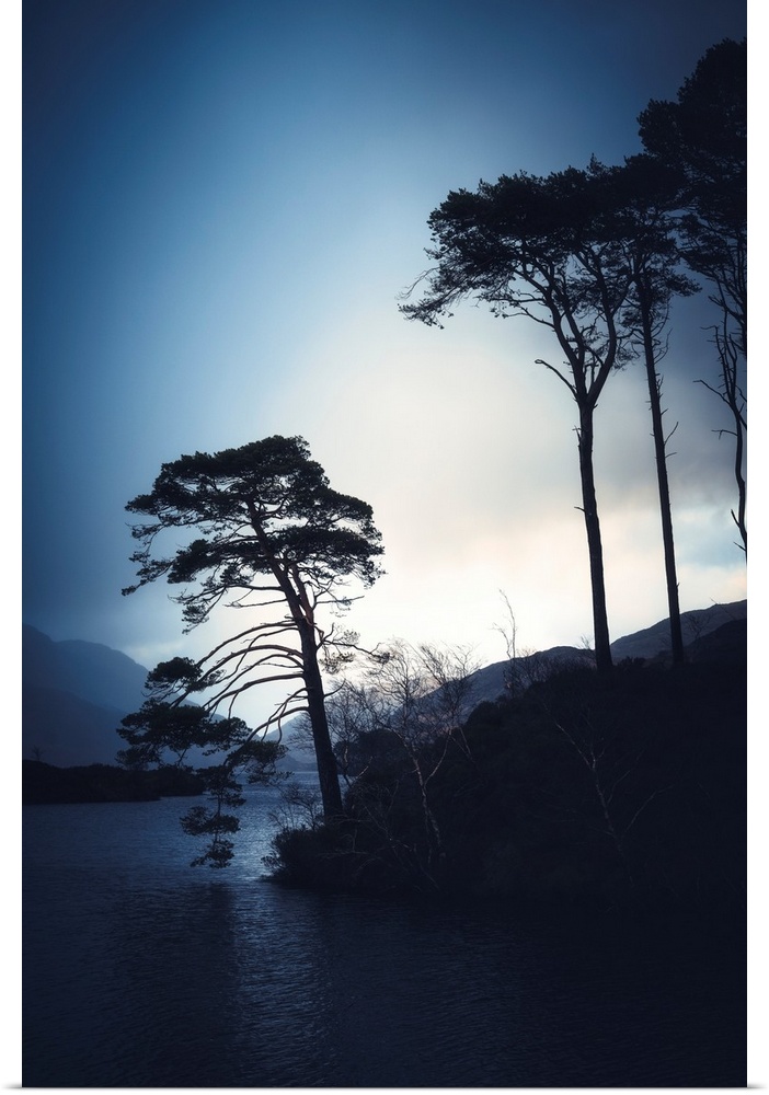 Tree silhouettes alongside a lake in Scotland