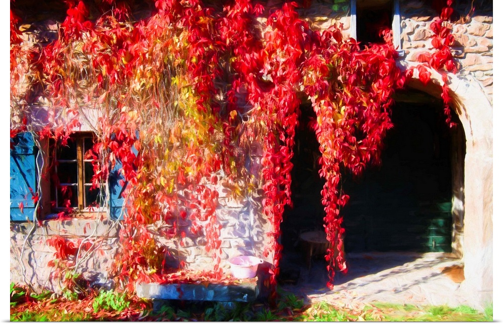 Hanging vines with red leaves over a stone archway and window.