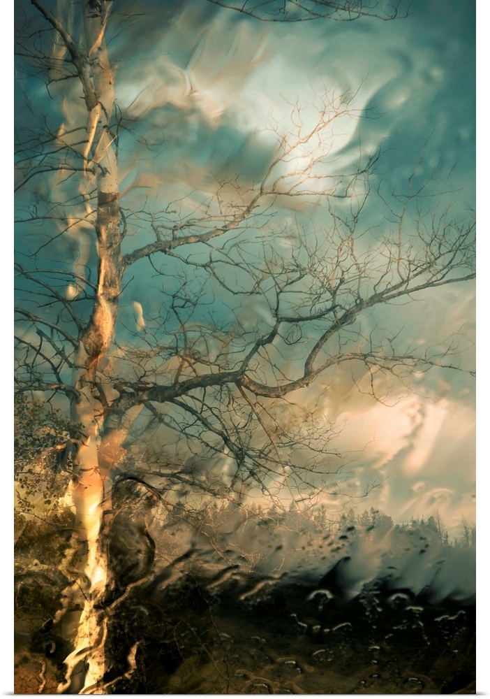 Vertical, large wall picture of a big tree with bare branches on a hill below a sky of swirling, stormy clouds.  The entir...