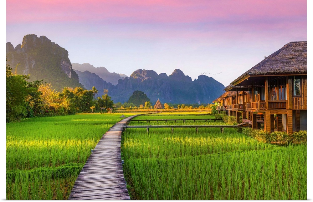A pontoon crosses a rice paddy in Laos