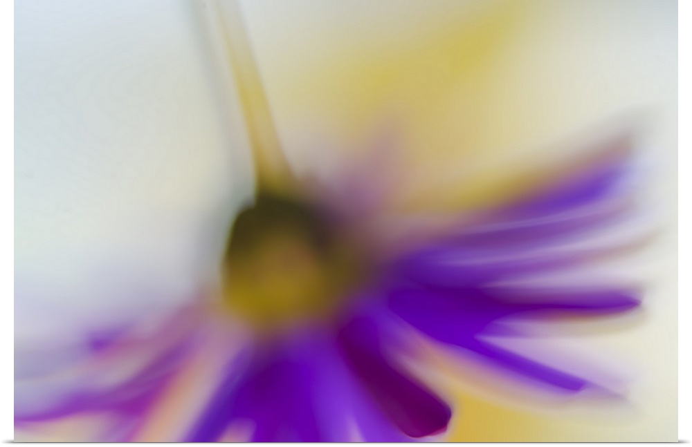 Blurred view of a purple flower hanging upside-down.
