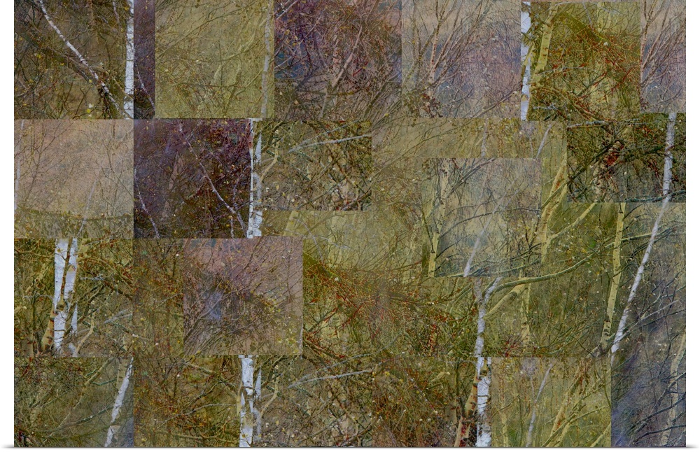 A tessalated golden yellow gold abstract of autumn fall silver birch trees.