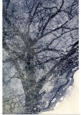 Tree On Ice
