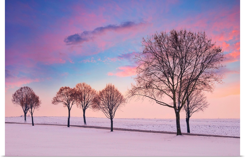Sunset over a snowy landscape with trees in the foreground