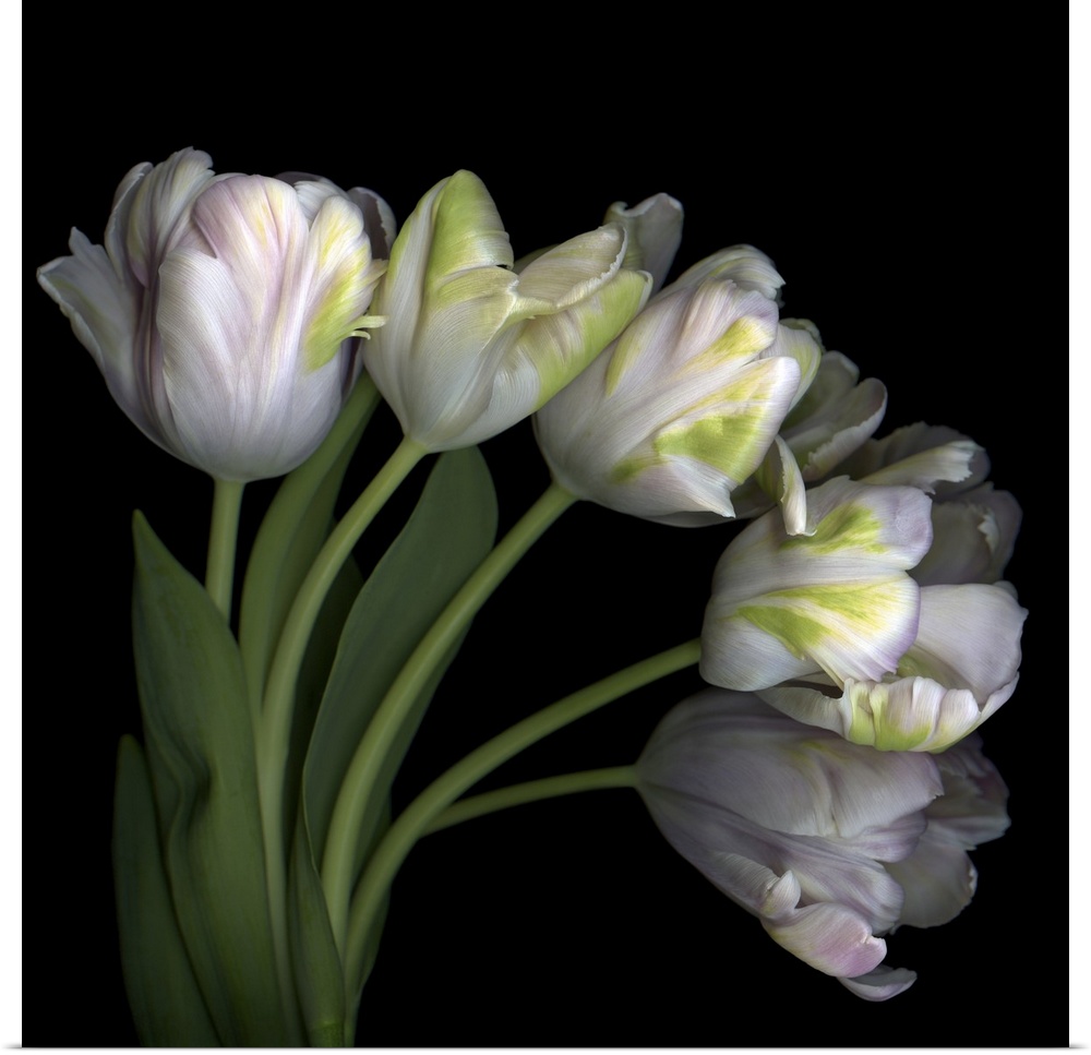 Pale pink tulip bouquet