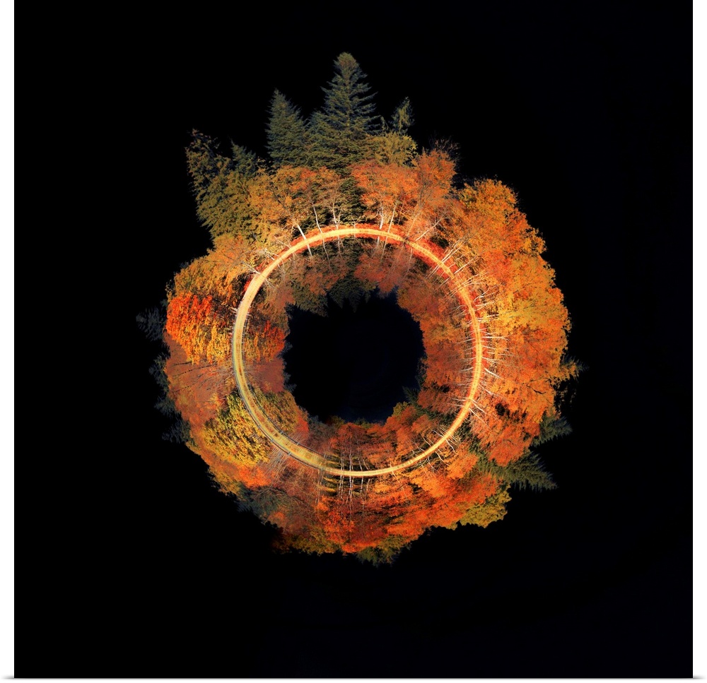Conceptual square photograph of an Autumn tree line wrapped in a circle on the center of a black background.