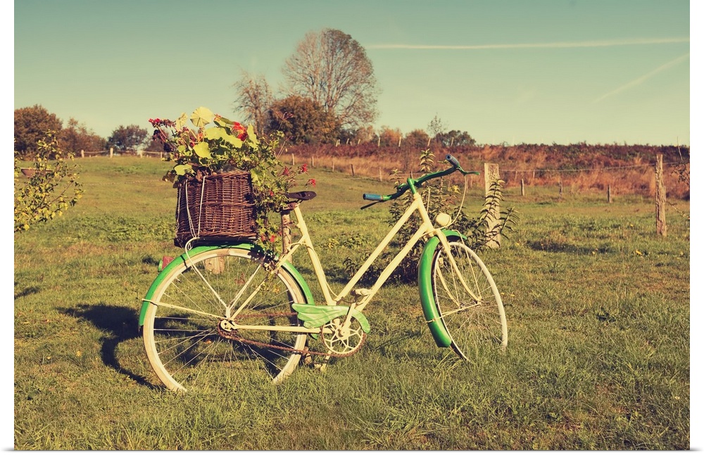 A photograph of a vintage green and white bicycle standing in a field.