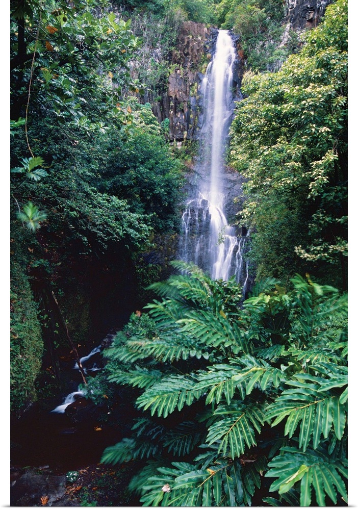 Wailua Falls on the road To Hana, Maui, Hawaii.