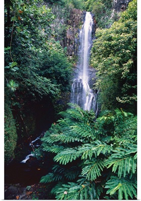 Wailua Falls, Road To Hana 1