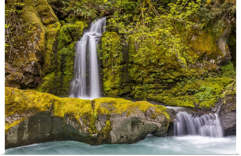 A small waterfall pours into the Ohanapecosh River, Washington