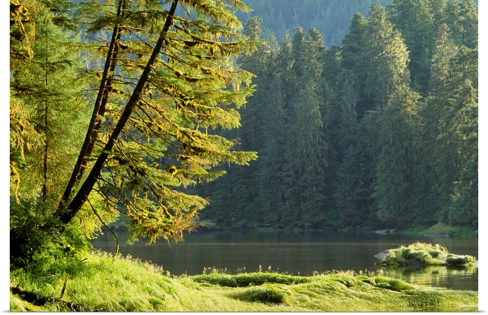 Lake and temperate rainforest, Tongass National Forest, Alaska