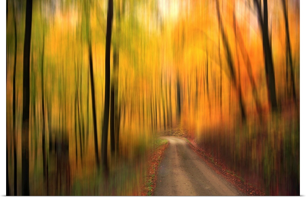 A thin path is the only part of the photograph that appears in focus. The forest and trees surrounding it are blurred.