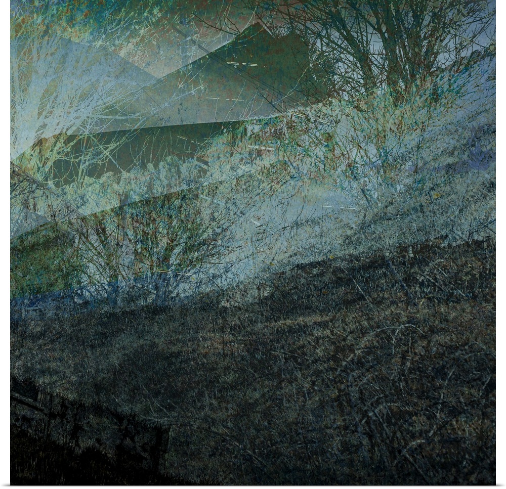 A natural abstracted landscape showing a deep dark melancholy leafless winter hedgerow and trees with a drystone wall in Y...
