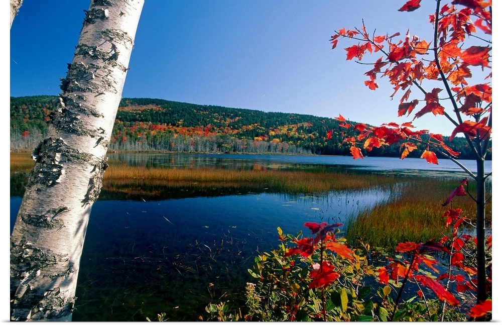 View of a lake during fall in Upper Hadlock Pond in Mt. Desert Island, Maine (ME).