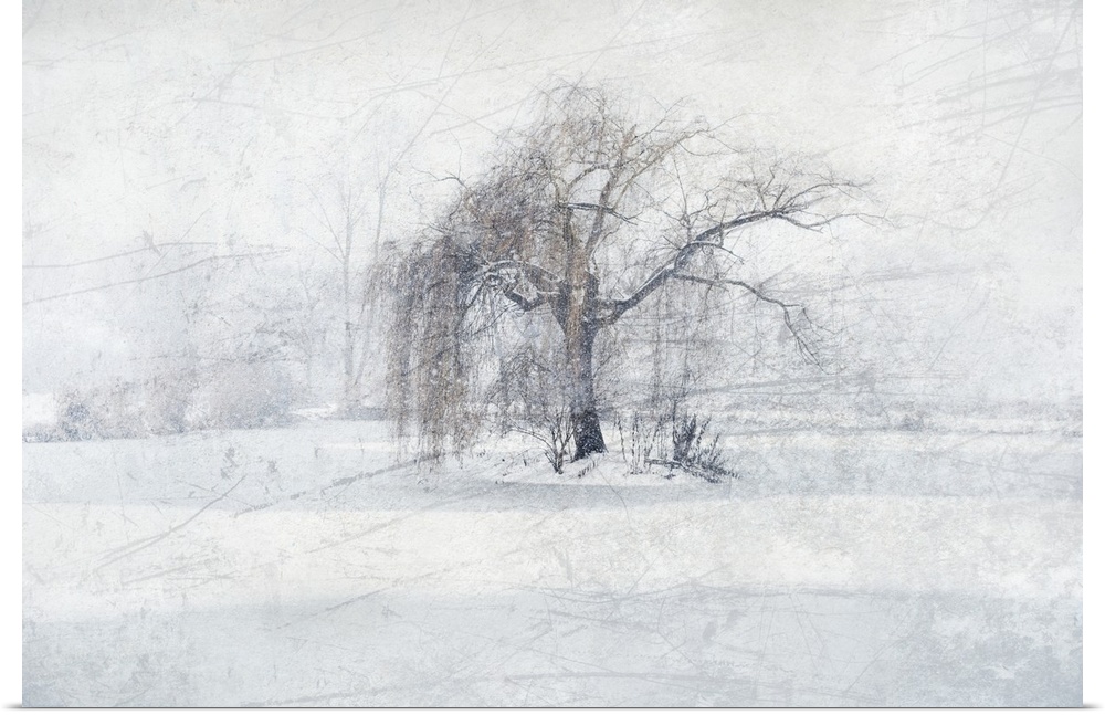 Photograph of a weeping willow tree in the center of a snowy scene with an icy texture overlay.
