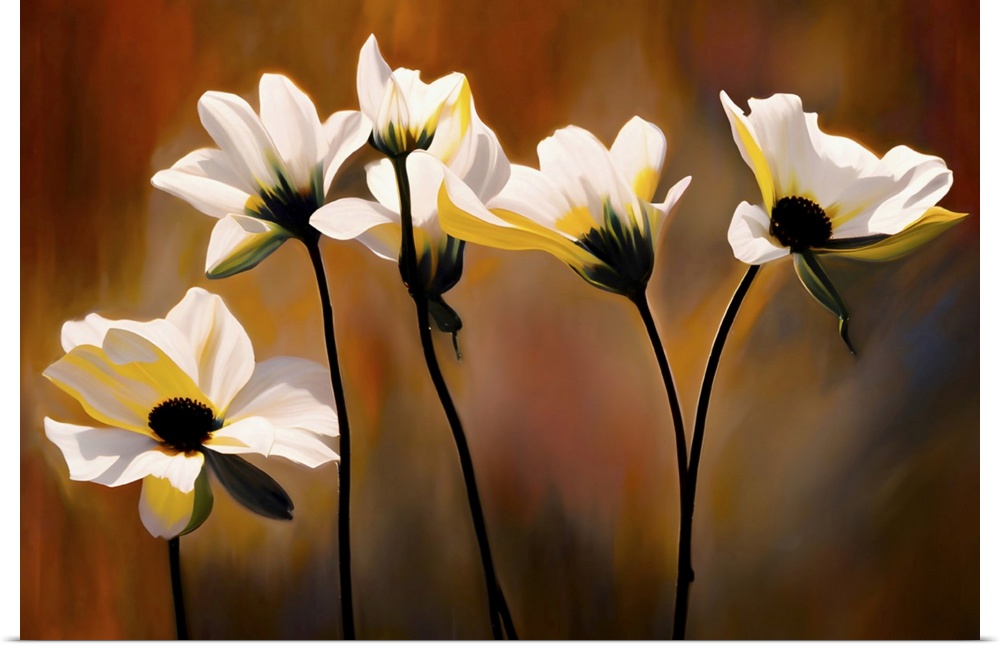 Portrait of a group of white flowers against blurred, golden grasses. The stems and interiors of the flowers are silhouett...
