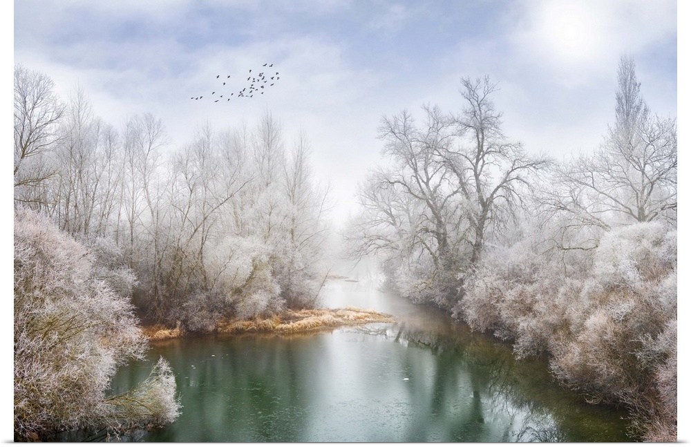 Photograph of snow covered trees around a blue-green body of water and a flock of birds flying through the cloudy blue sky.