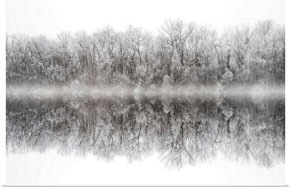 Photograph of a snow frozen line of trees reflecting below a foggy line.