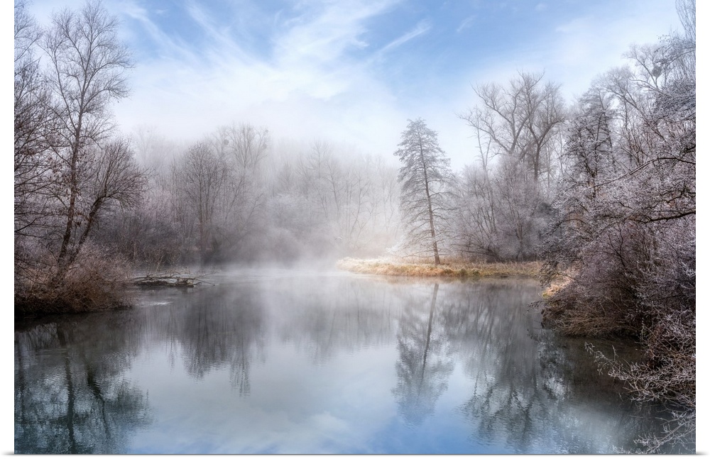 Photograph of a foggy lake surrounded by winter trees with icy branches.