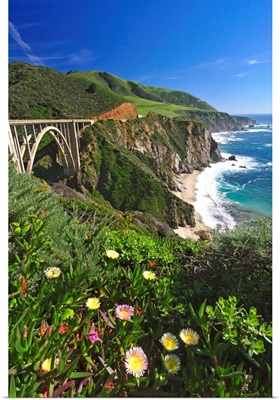 Wildflower Bloom at the Bixby Bridge, Big Sur Coast, California